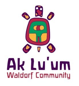 Logo Akluum